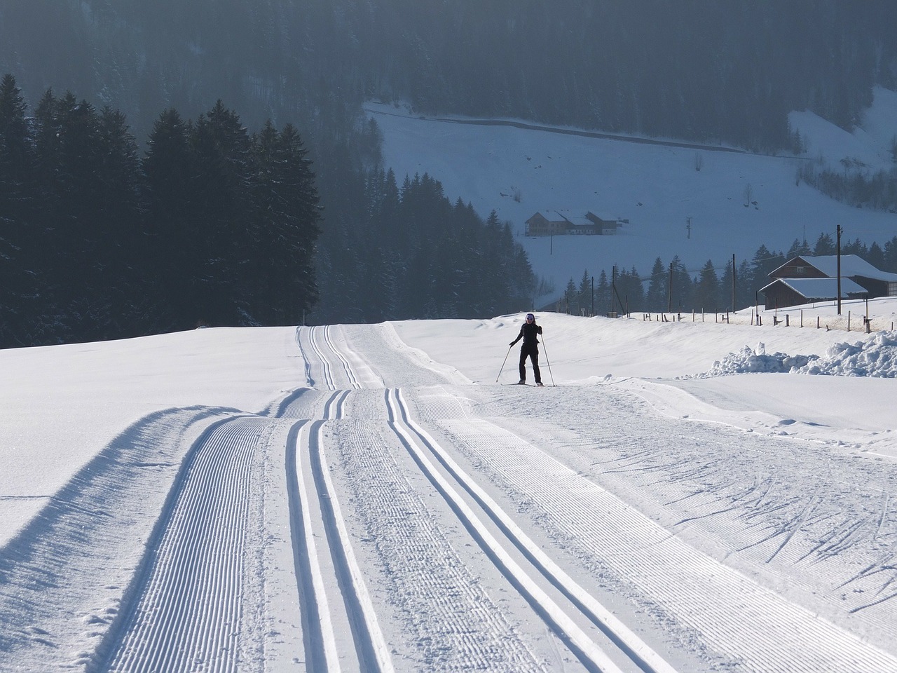 cross country skiing winter trail free photo