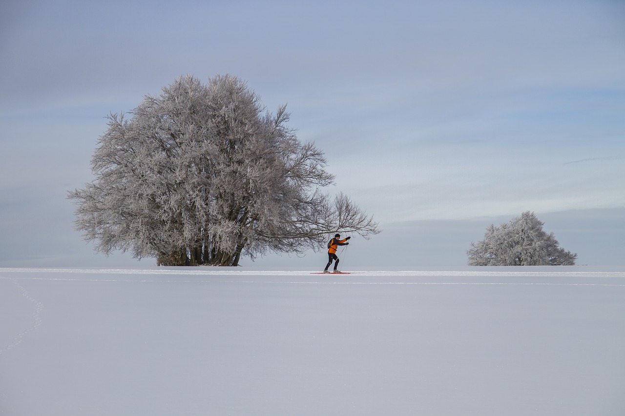 cross-country skiing winter landscape free photo