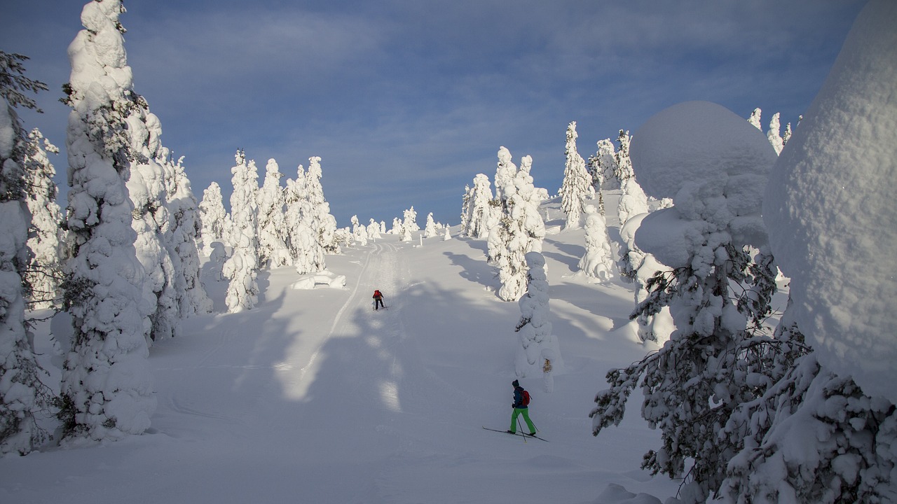 cross country skiing finland lapland free photo