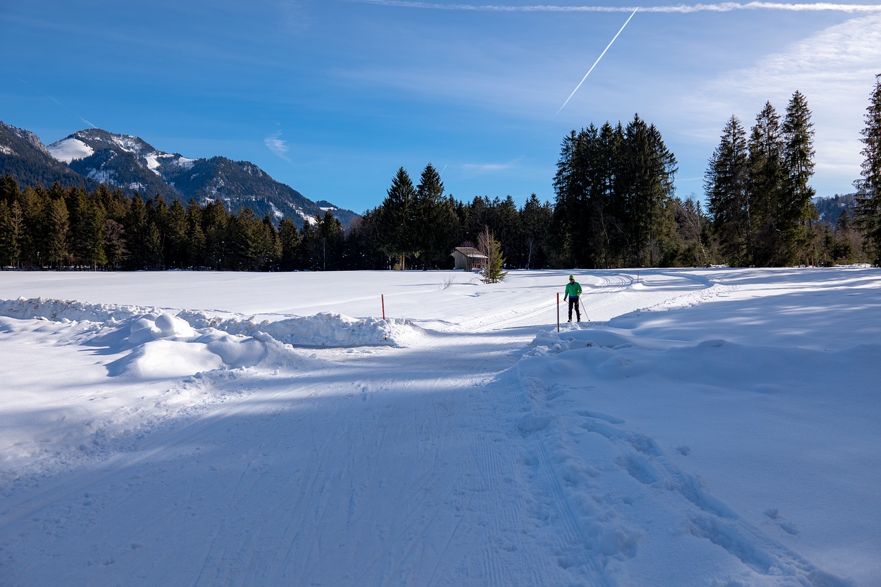 cross country skiing  snow  traces free photo