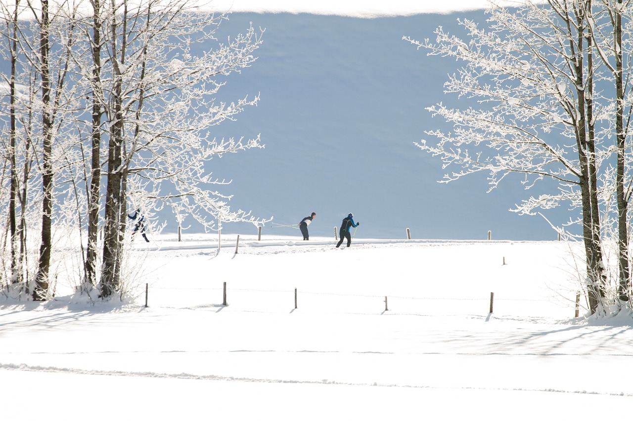 cross country skiing winter trail free photo