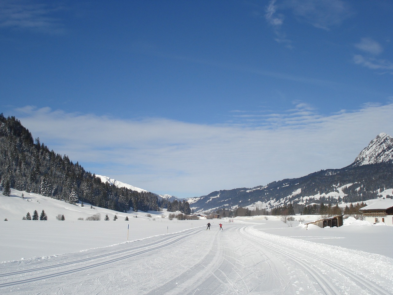 cross country skiing ski tannheim free photo