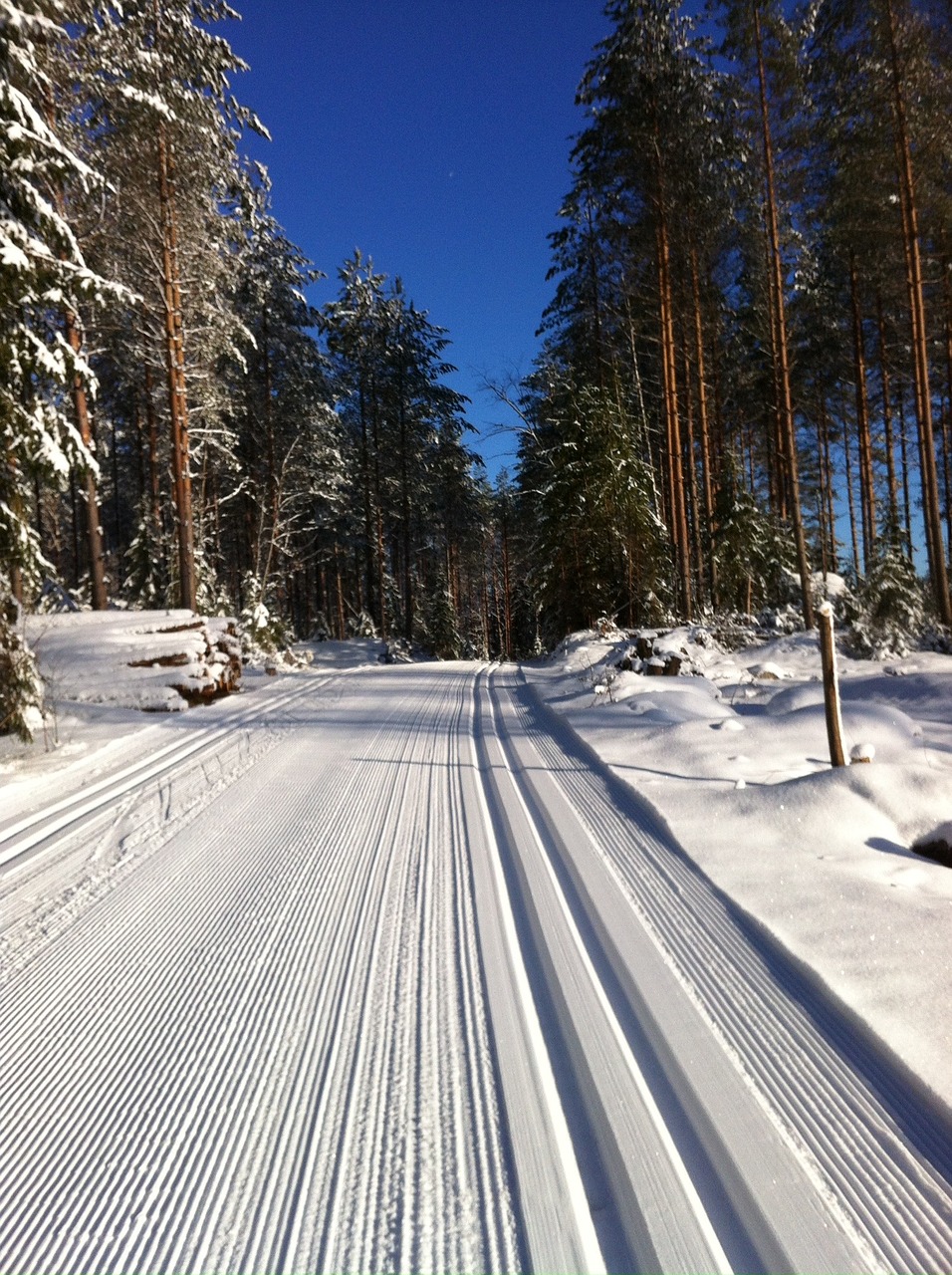 cross-country trail cross-country skiing snow free photo