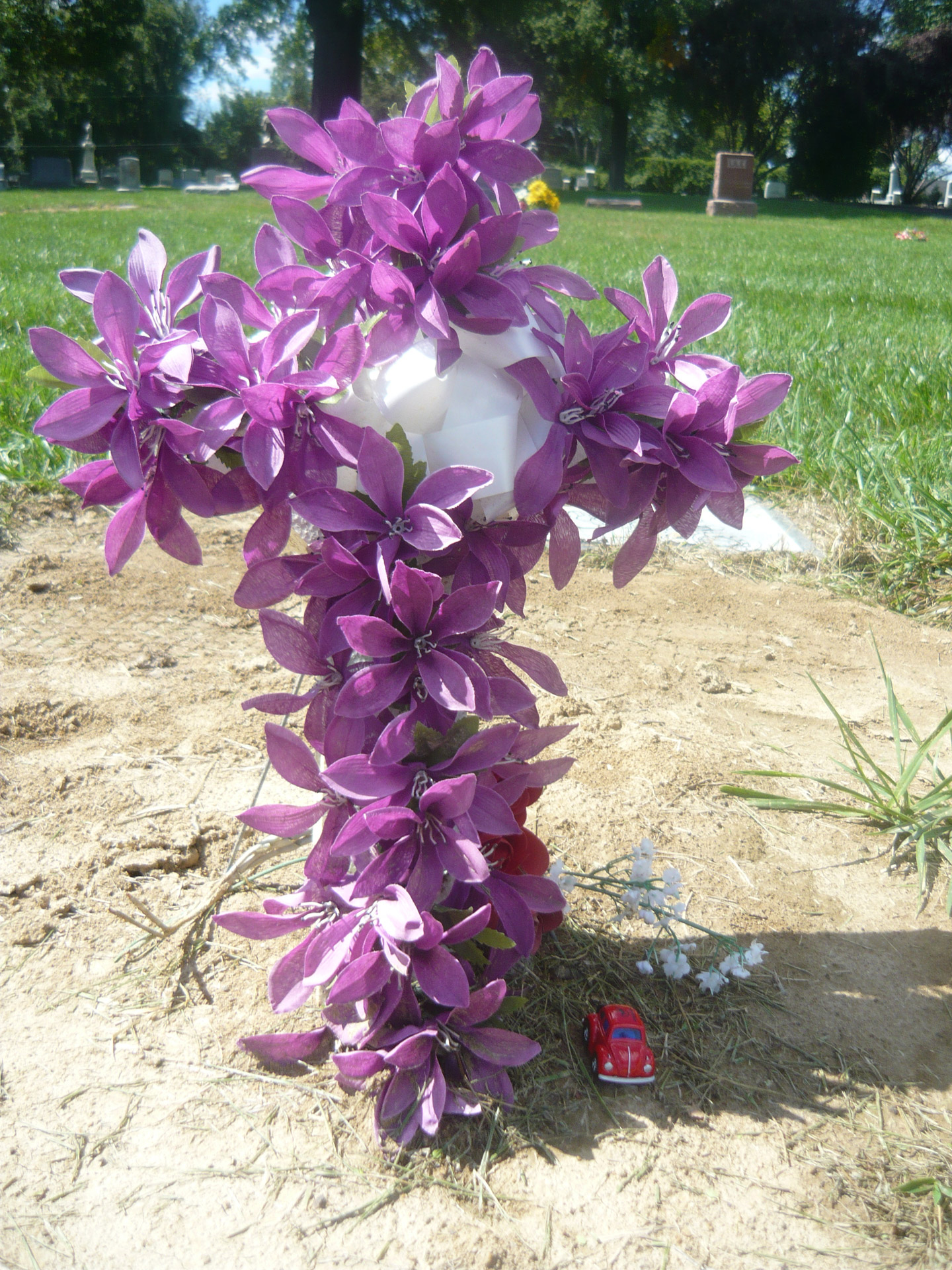 purple flower cross free photo