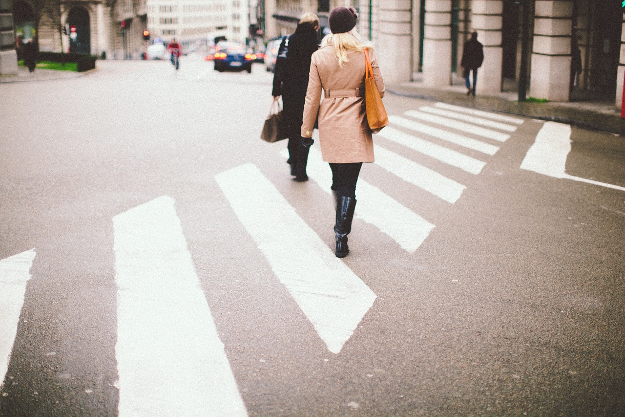 crossing street zebra free photo