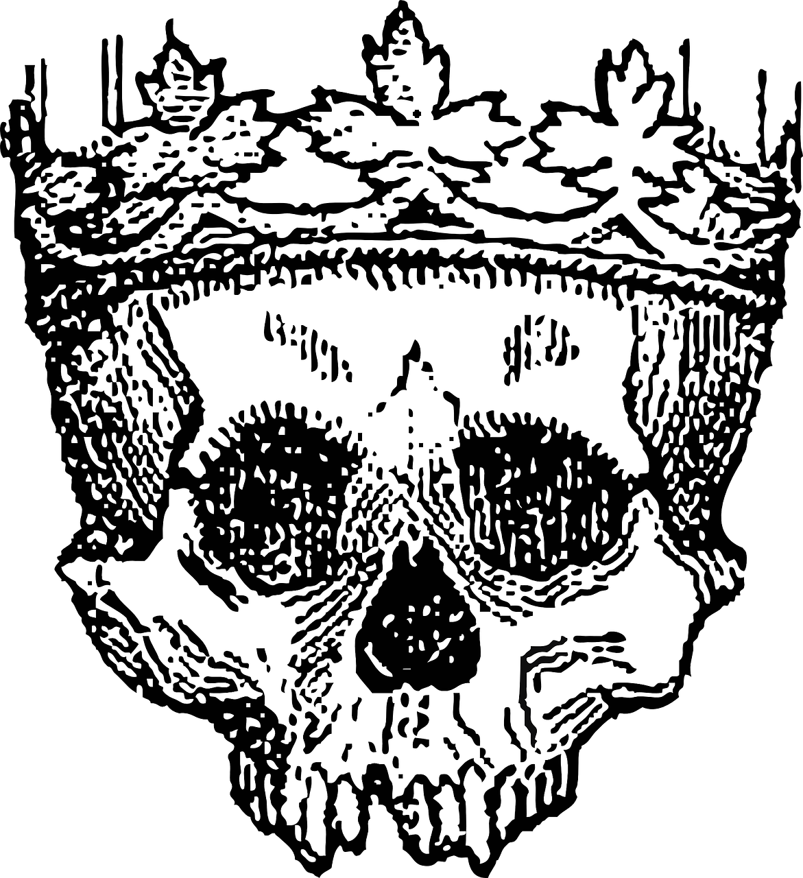 crown king skull free photo