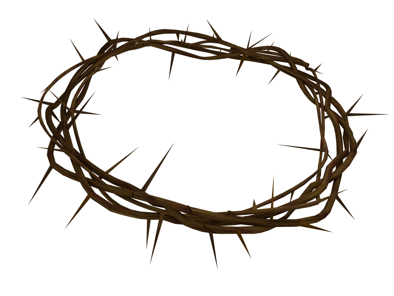 crown  of  thorns free photo