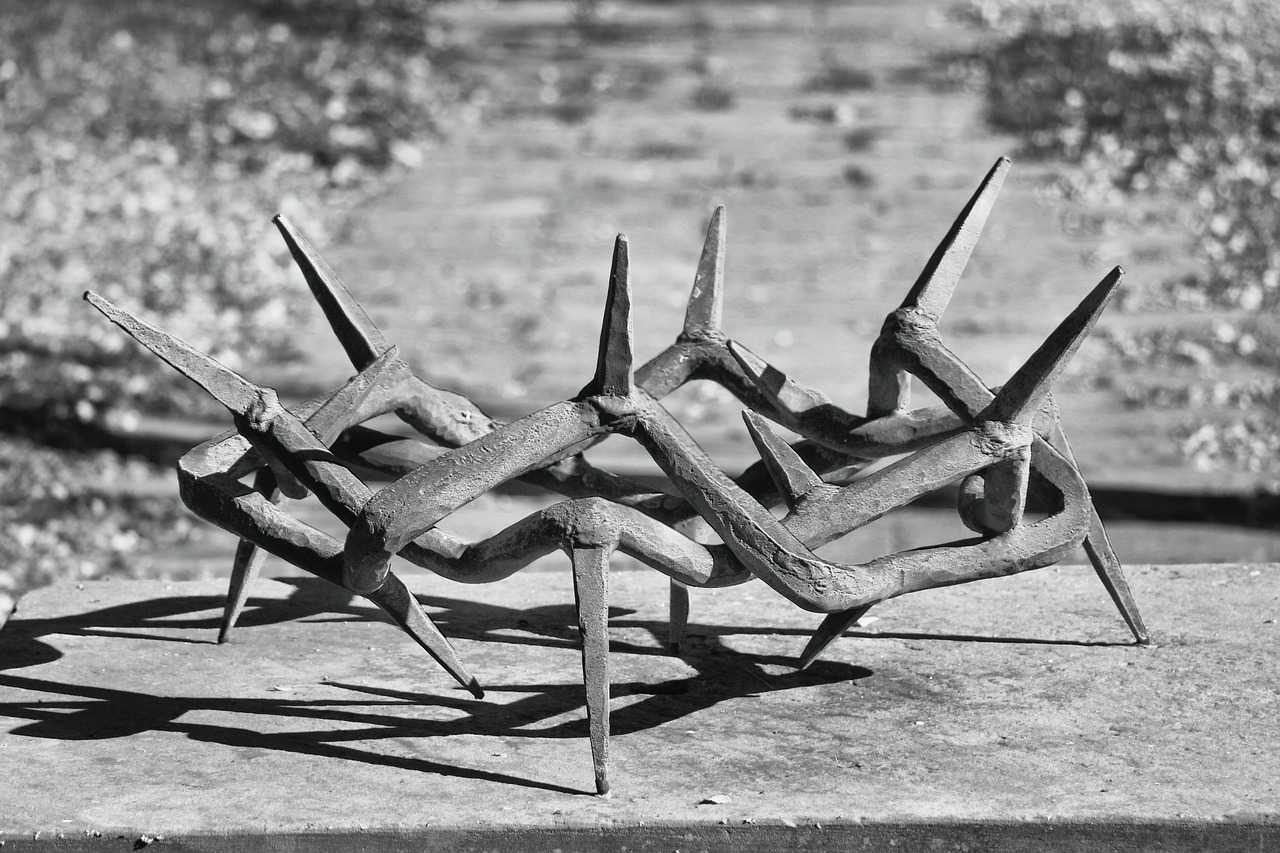 crown of thorns  plastic  metal free photo