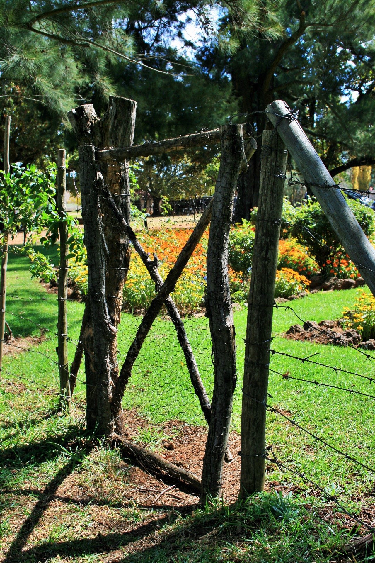 gate garden small free photo