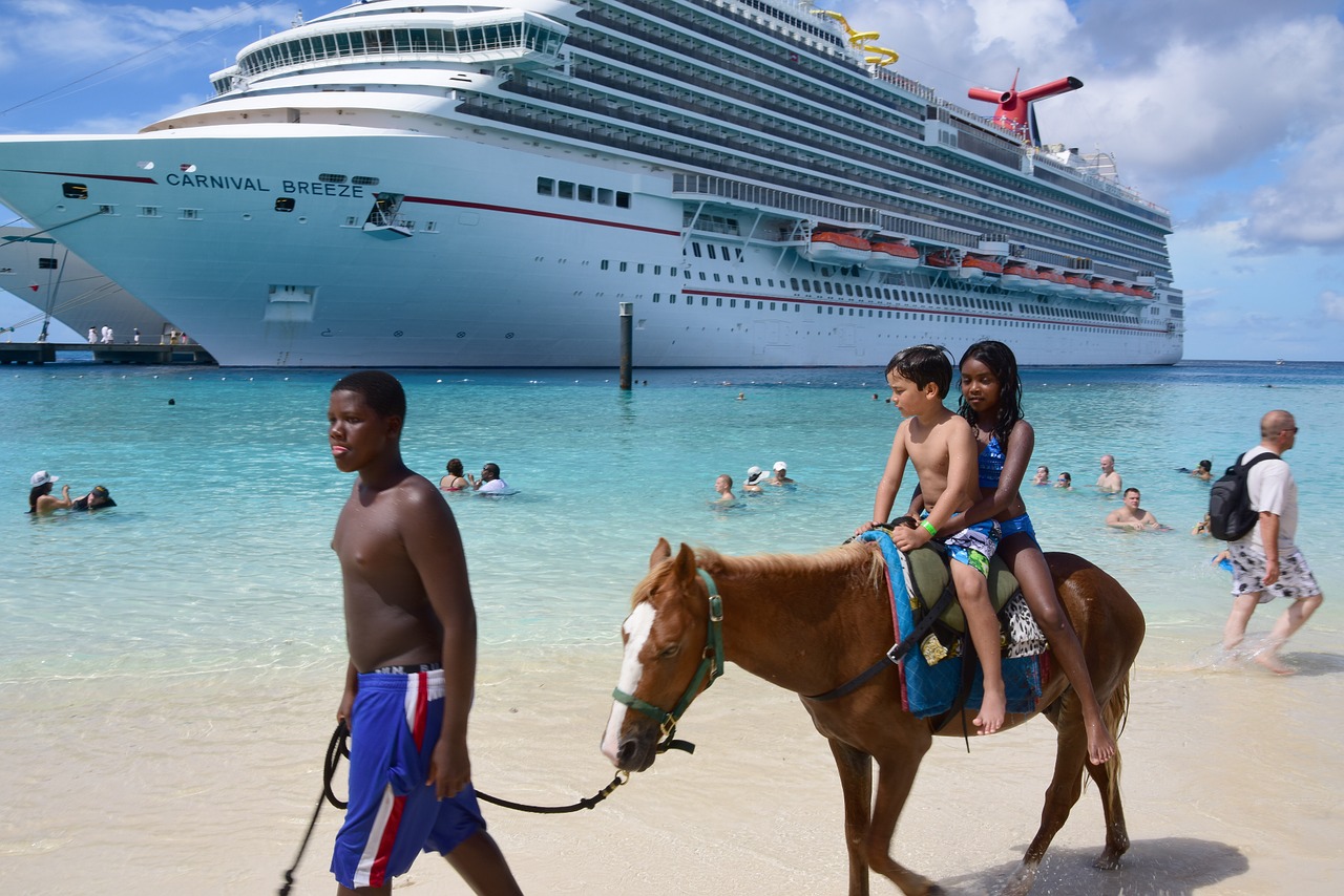 cruise grand turk horse on beach free photo