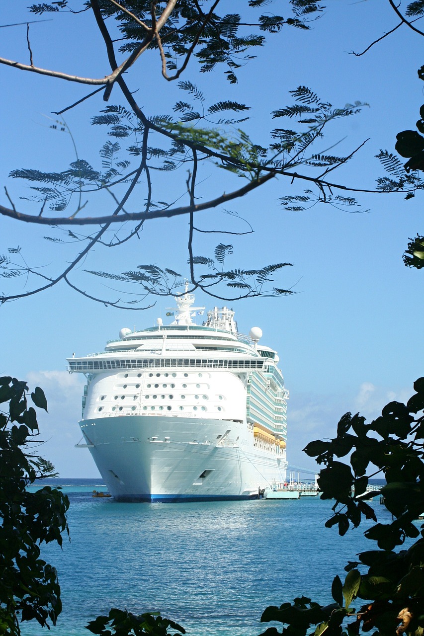 cruise ship sea free photo