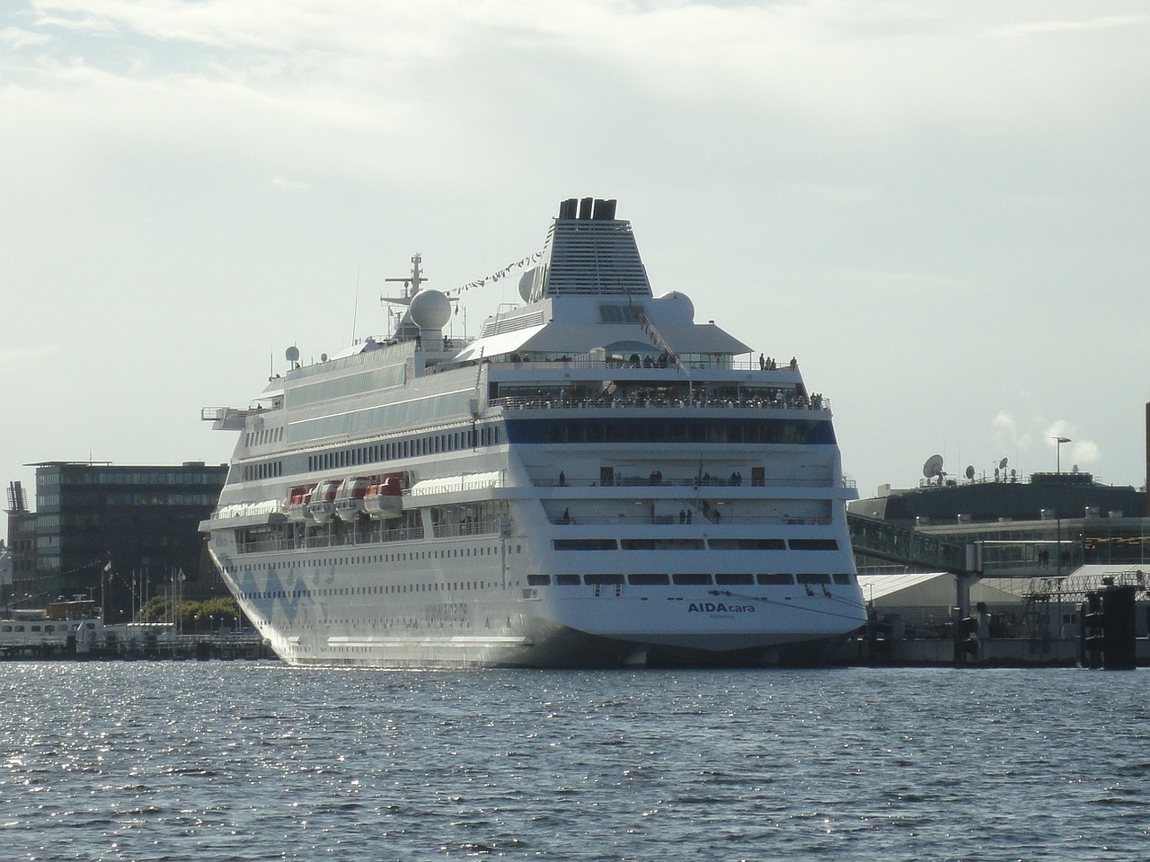 cruise ship passenger ship free photo