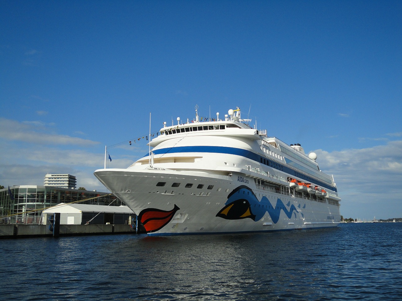 cruise ship passenger ship free photo
