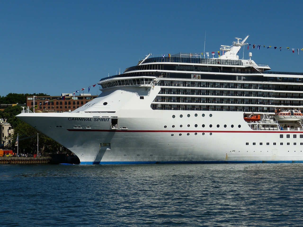 cruise cruise ship ship free photo