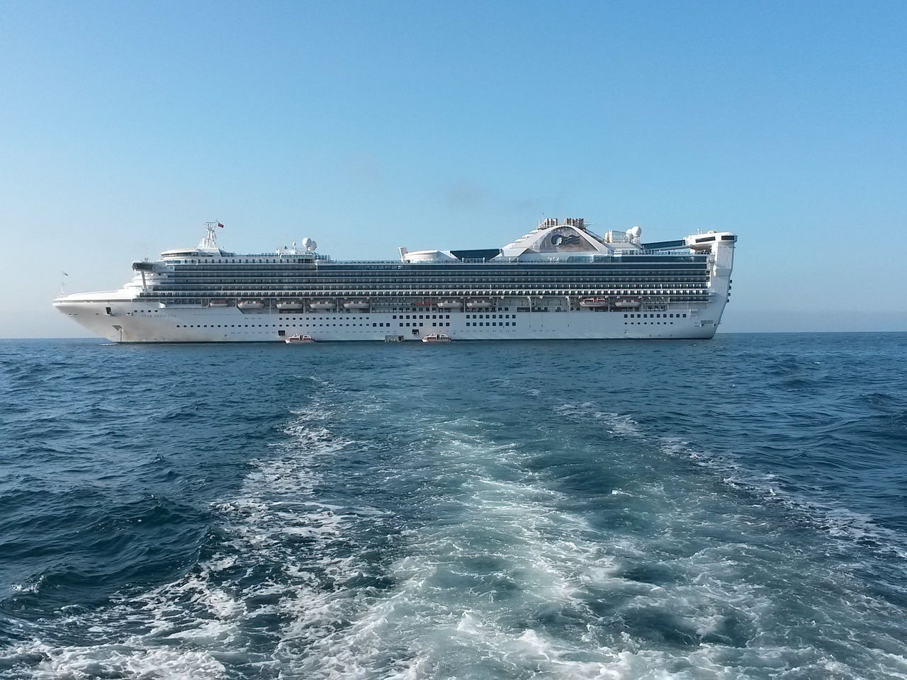 cruise ship ocean free photo