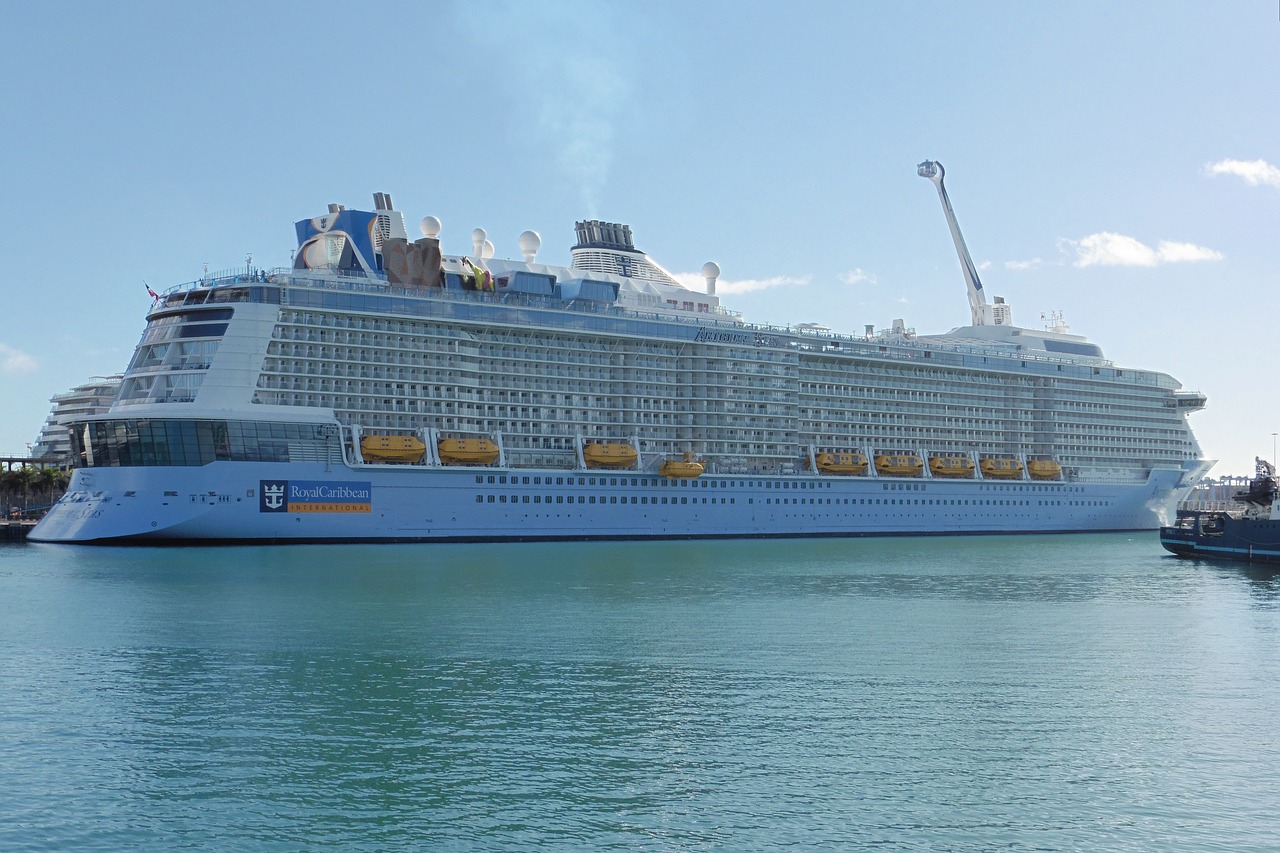 cruise ship ship liner free photo
