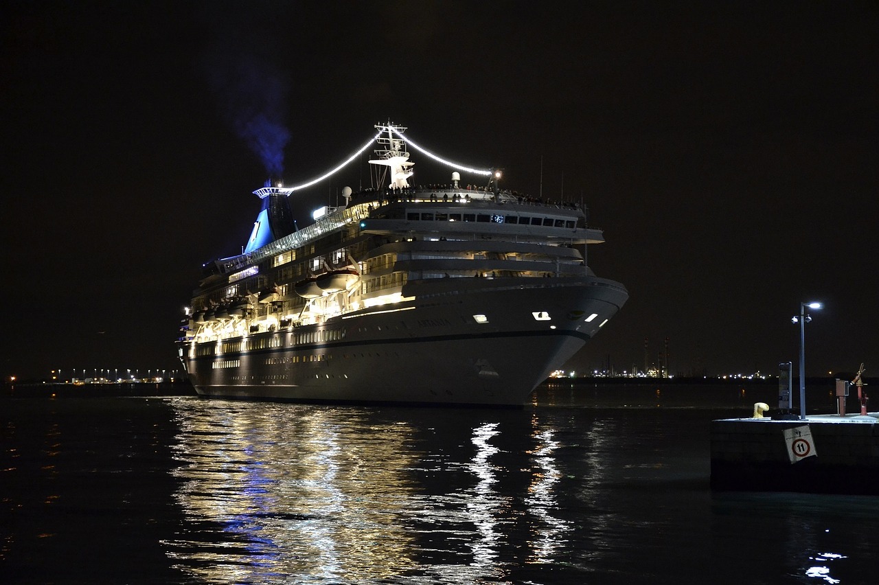 cruise ship dock night free photo