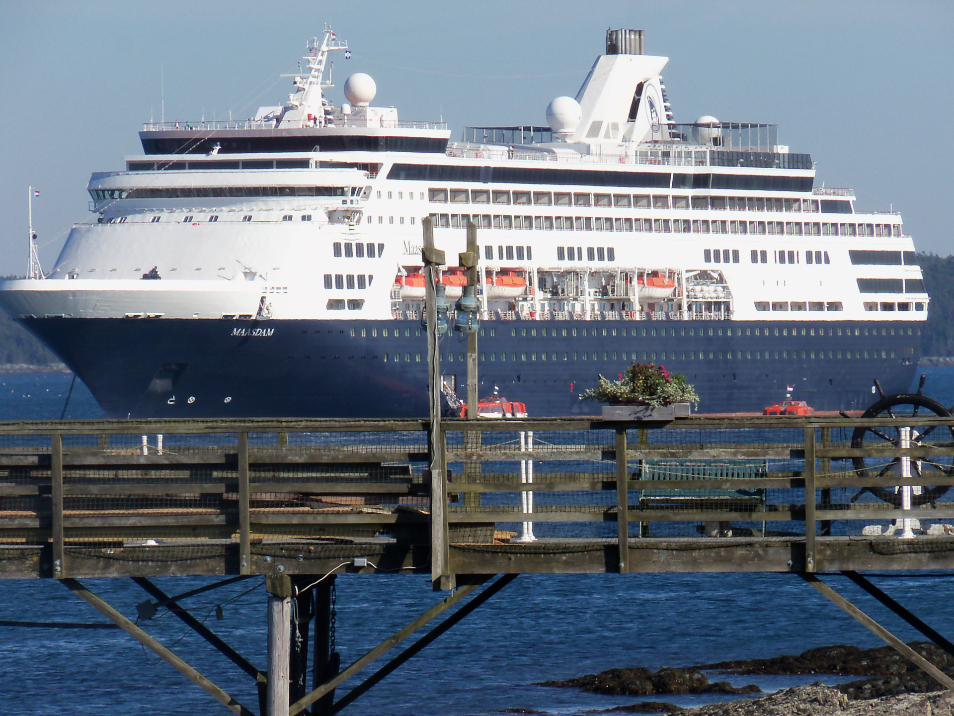 cruise ship cruise ships vessel free photo