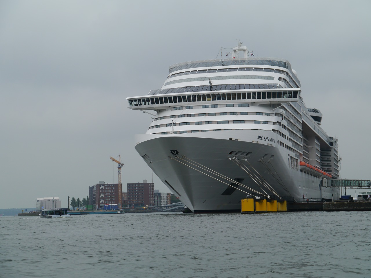 cruise ship amsterdam port free photo