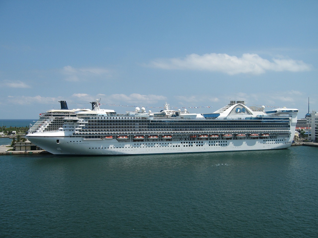 cruise ship cruise sea free photo