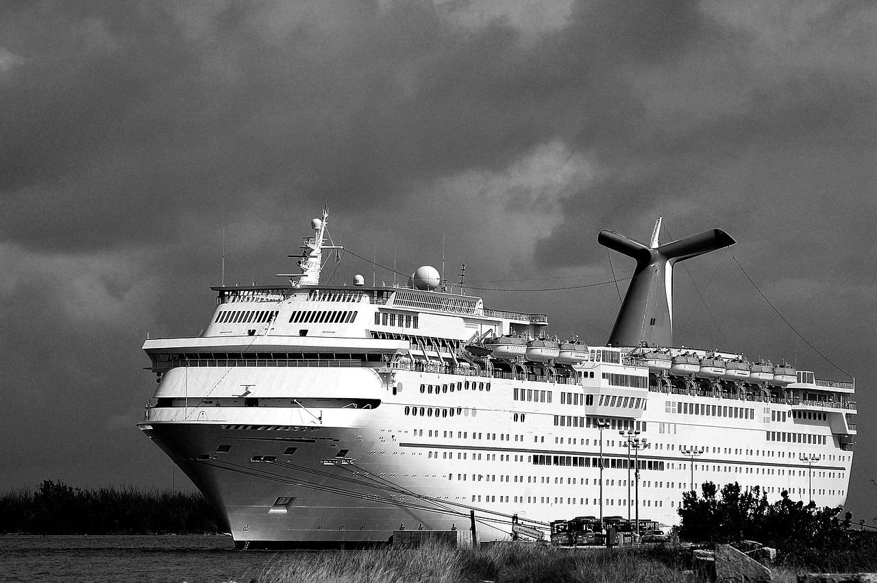 cruise ship  vacation  ocean free photo