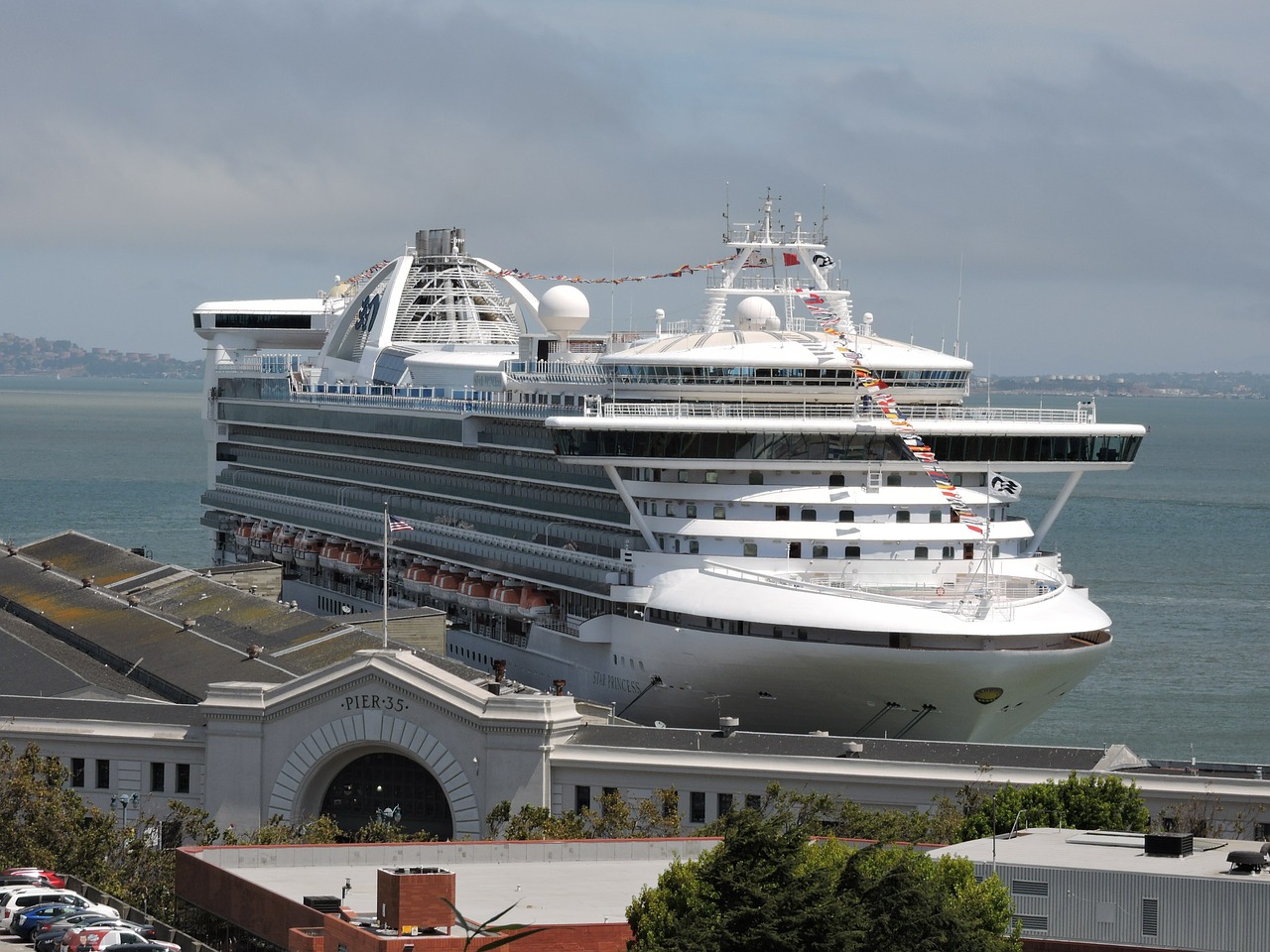 cruise ship ship sea free photo