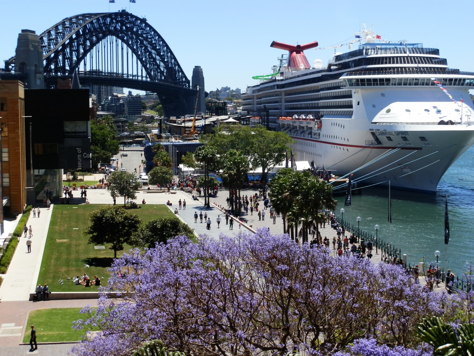 cruise ship harbour free photo