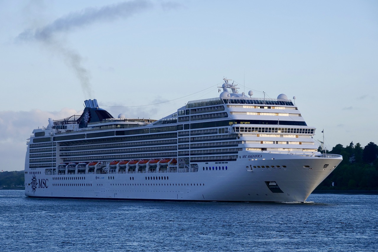 cruises  shipping  msc magnifica free photo