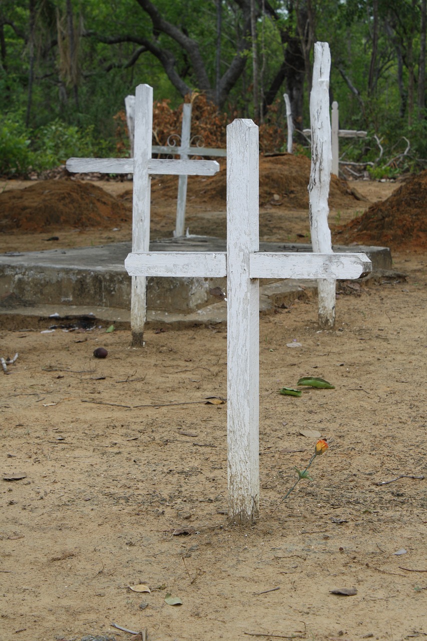 cruz crosses ipueiras free photo
