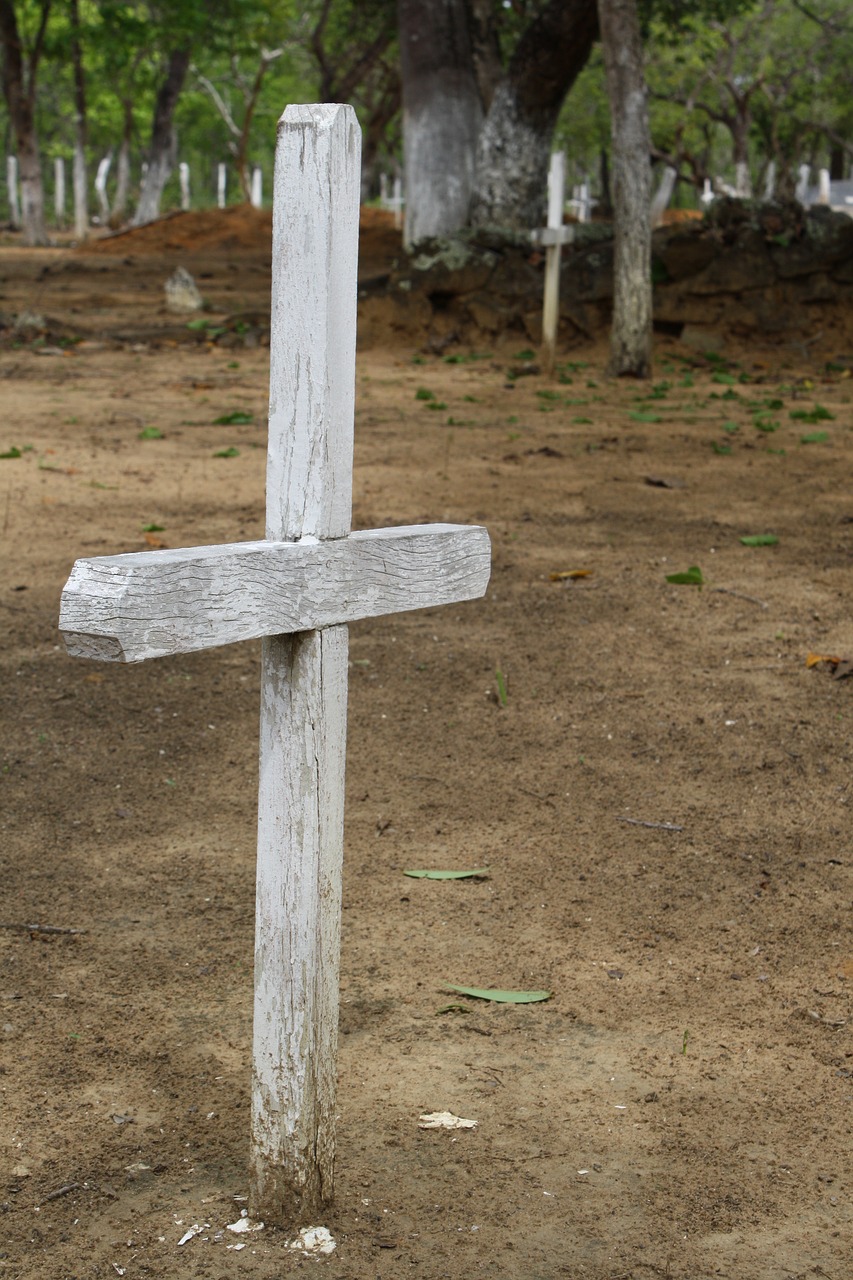 cruz cemetery ipueiras free photo