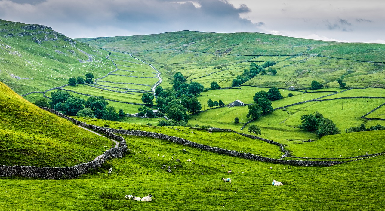 cry stone walls yorkshire dales free photo