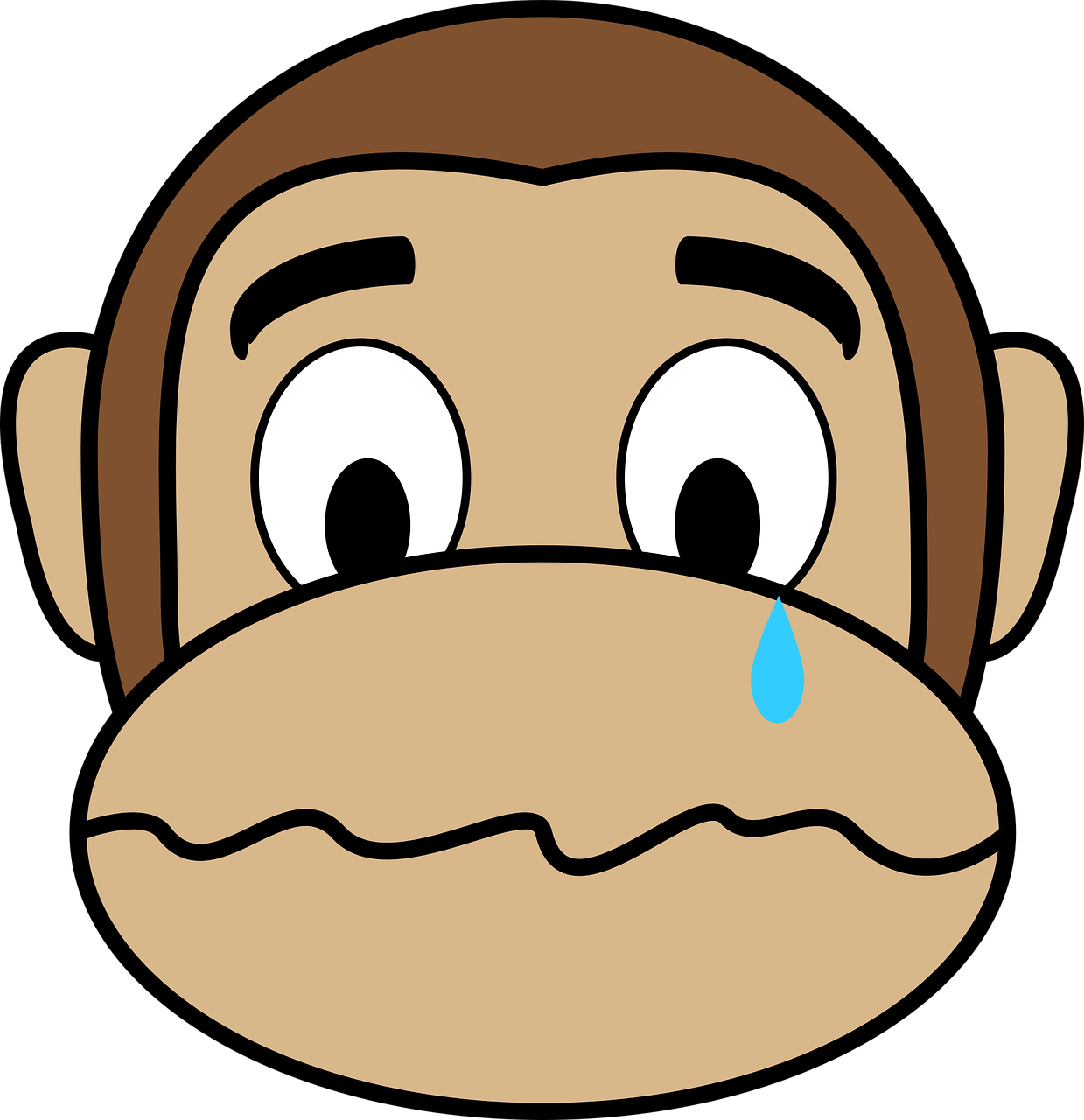 crying face monkey free photo