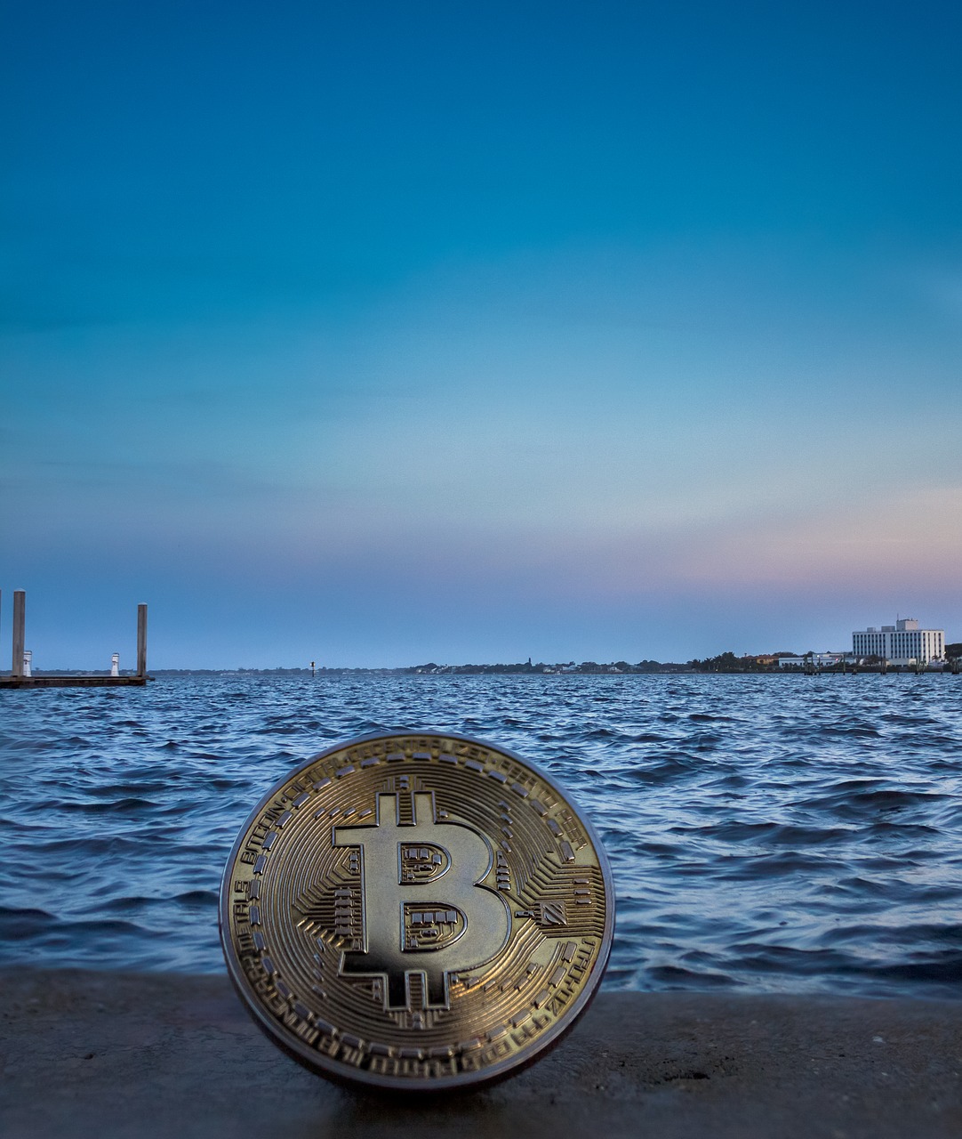 cryptocurrency  concept  florida free photo