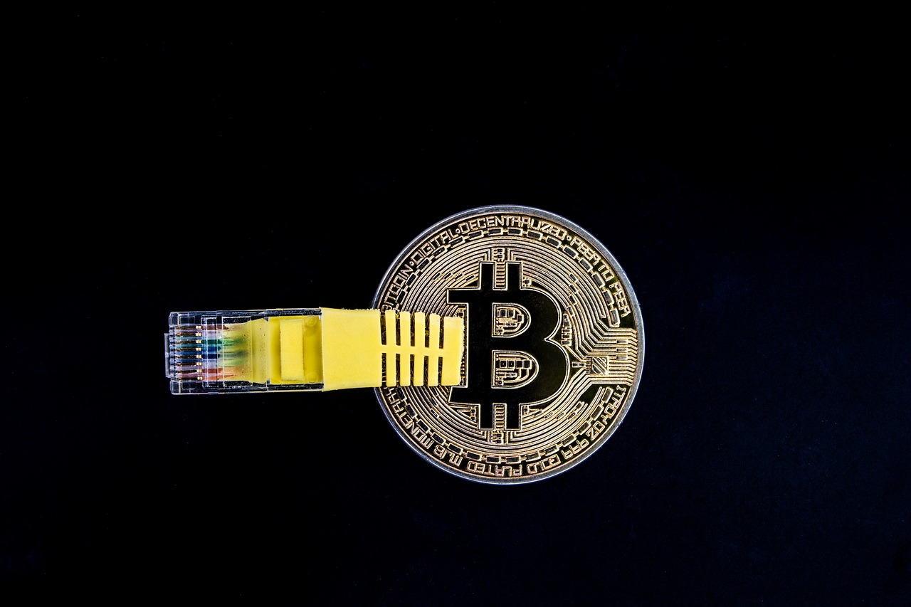 cryptocurrency  money  bitcoin free photo