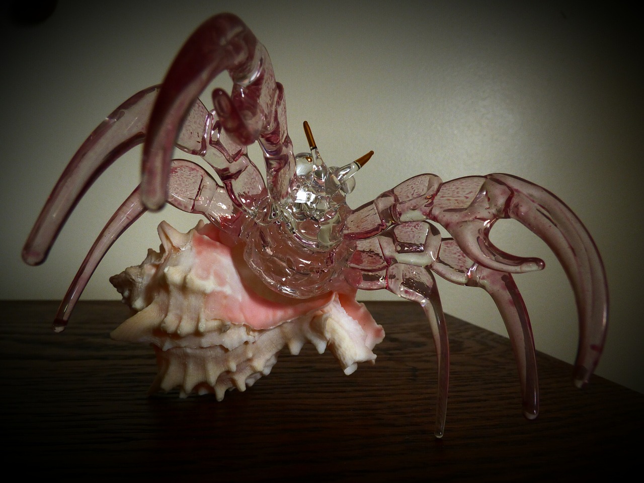 crystal crab seashell free photo