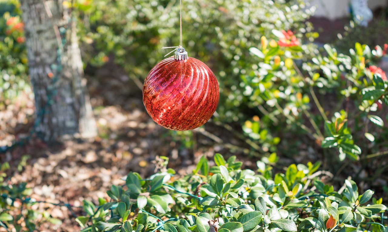 crystal ball nature leaf free photo