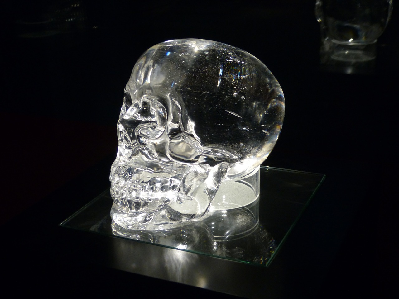 crystal skull exhibition skull free photo