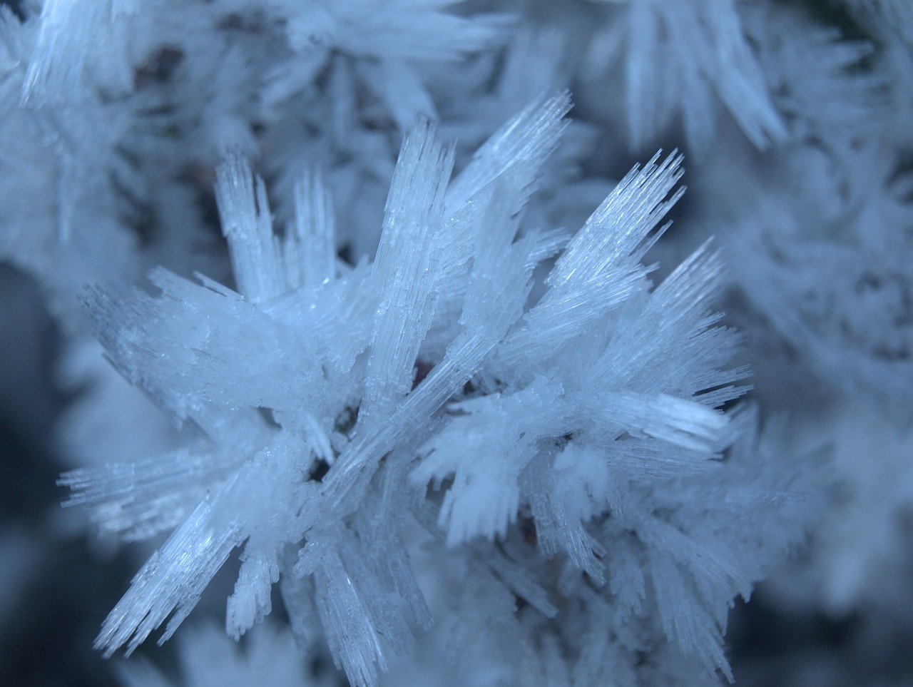 crystals frost winter free photo