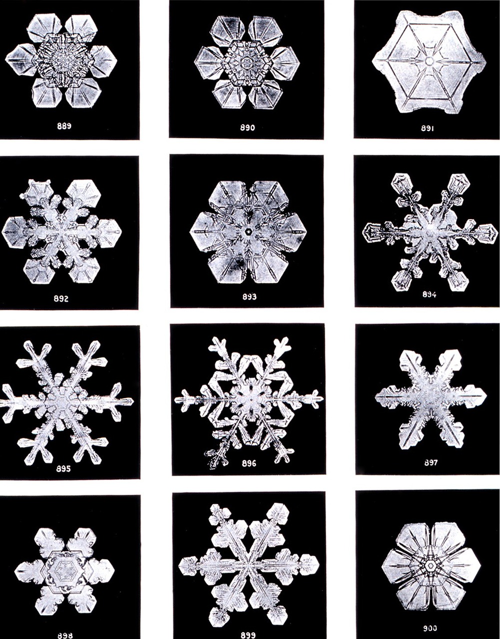 crystals ice crystal snow free photo