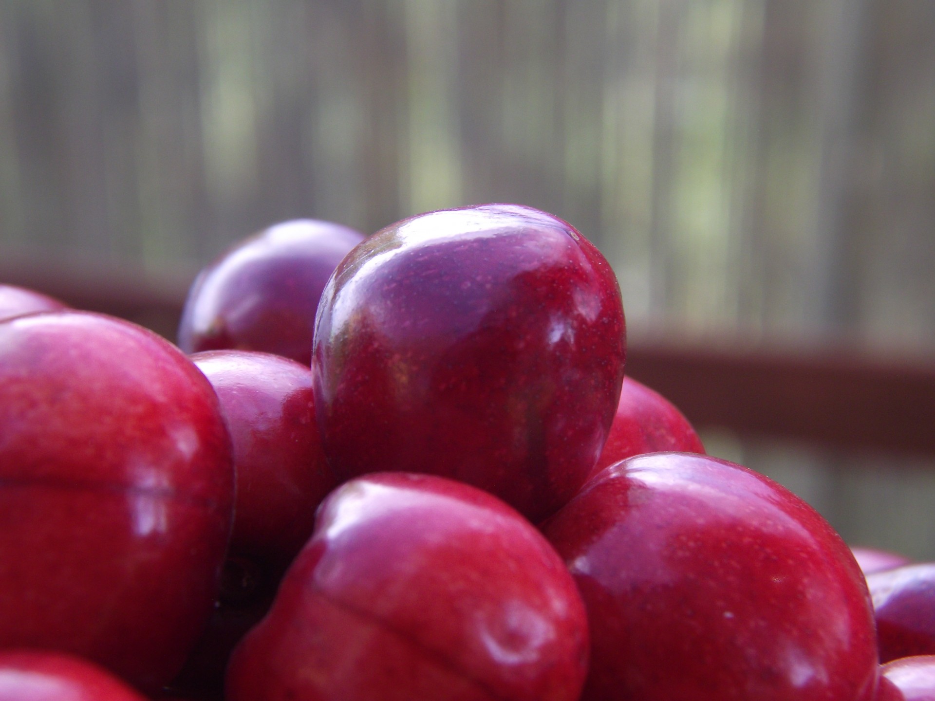 cherry macro cherry free photo