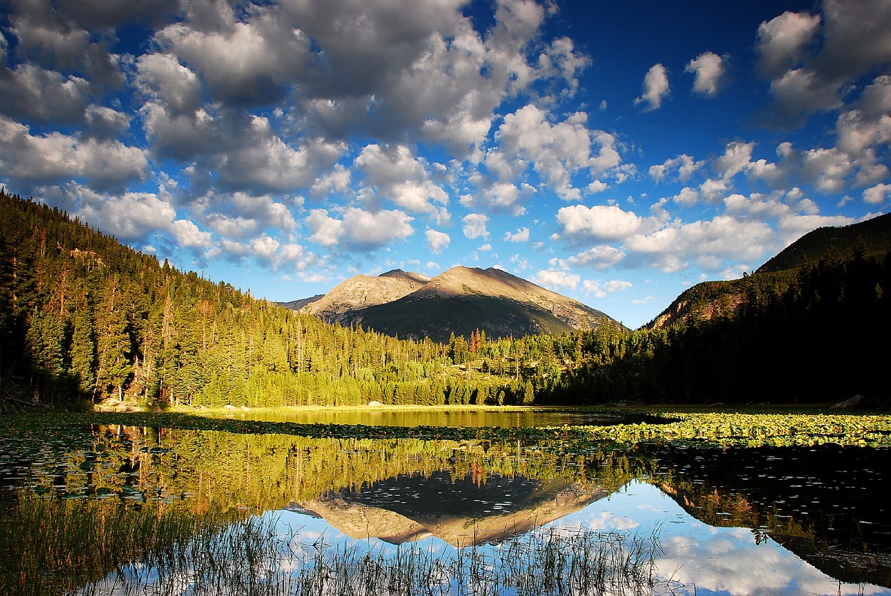 cub lake water landscape free photo