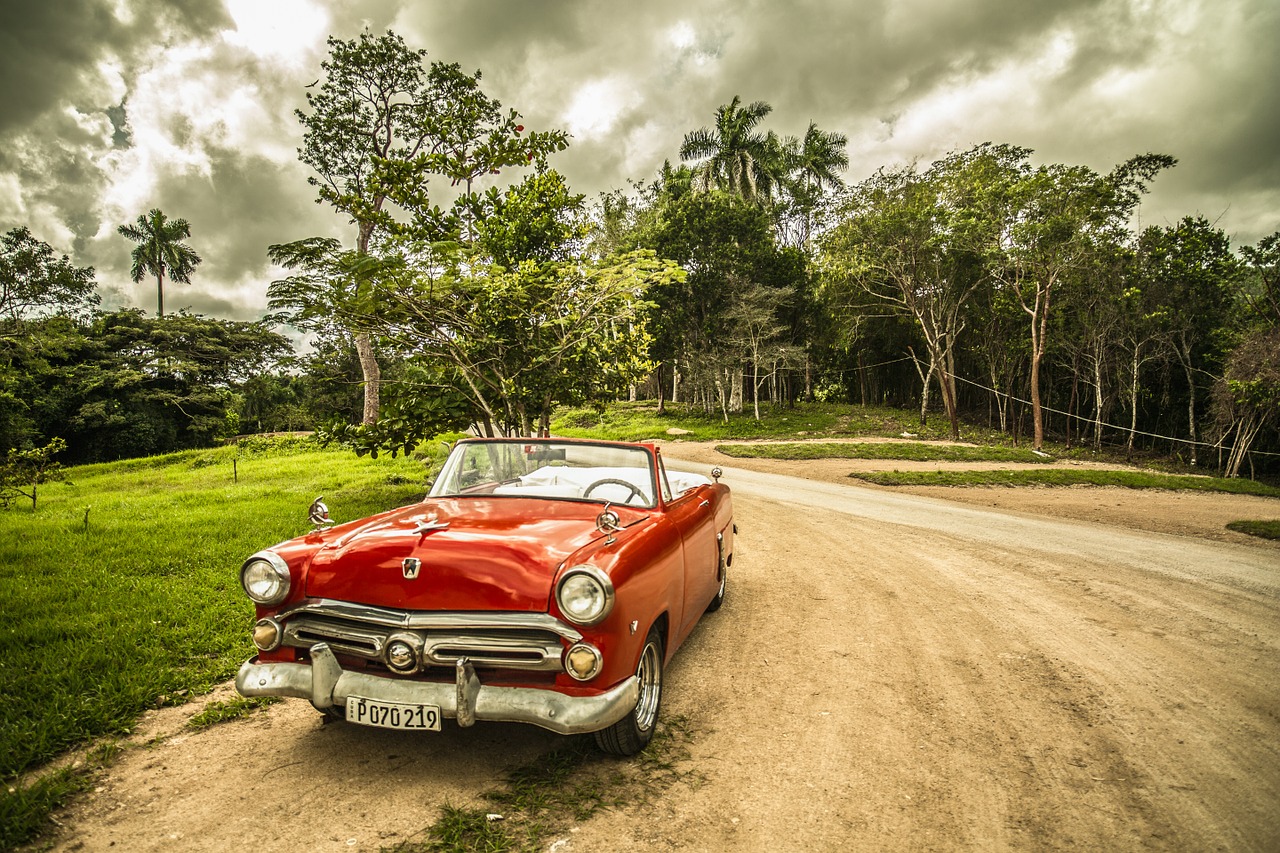 cuba old car forest free photo