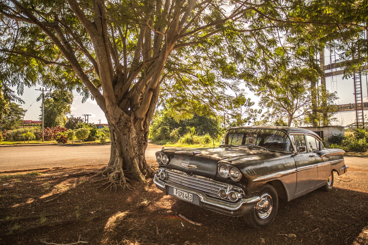 cuba car forest free photo