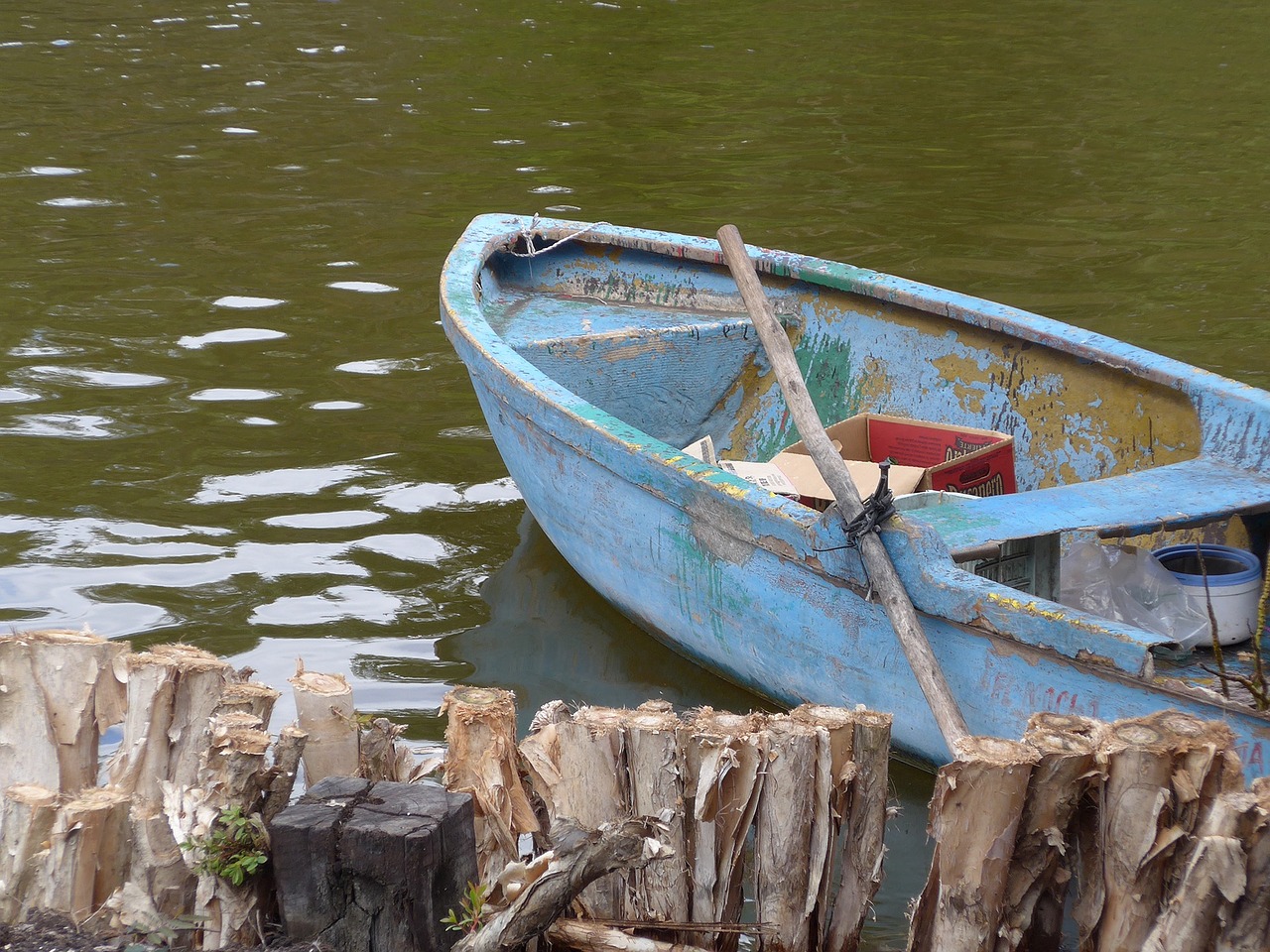 cuba boot rowing boat free photo