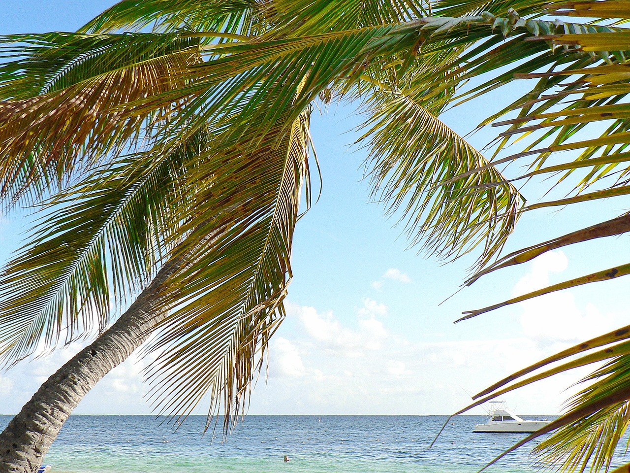 cuba beach holiday free photo