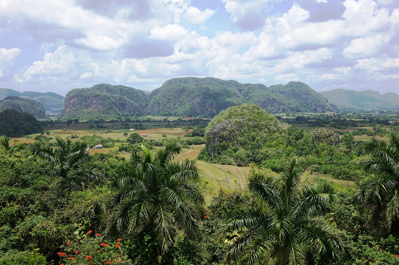 cuba landscape trees free photo