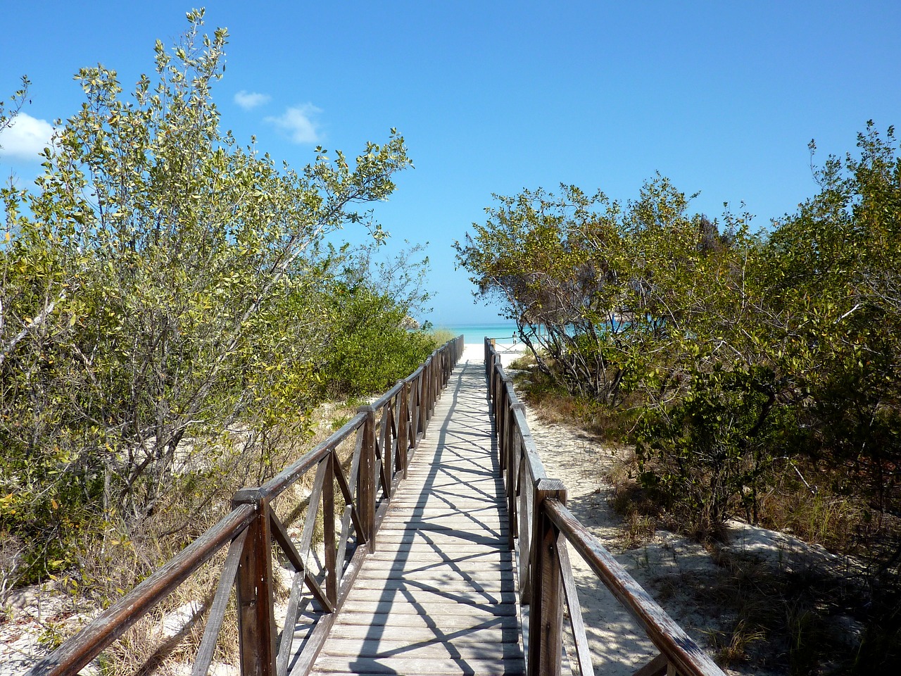 cuba cayococo sea free photo