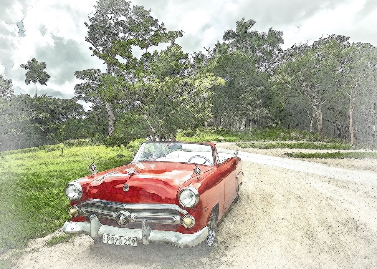 cuba old car forest free photo