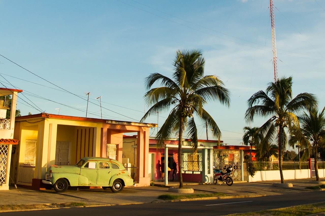 cuba car palm free photo