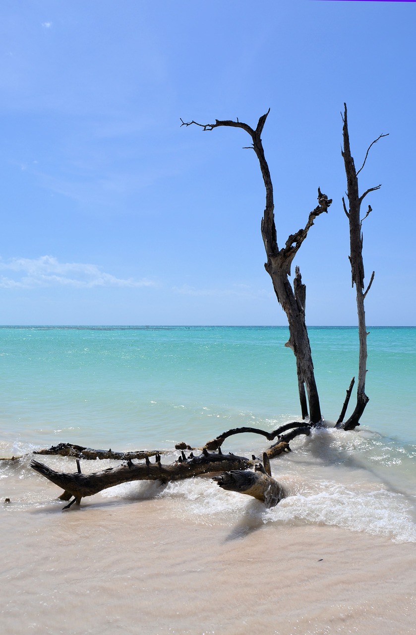 cuba caribbean beach free photo